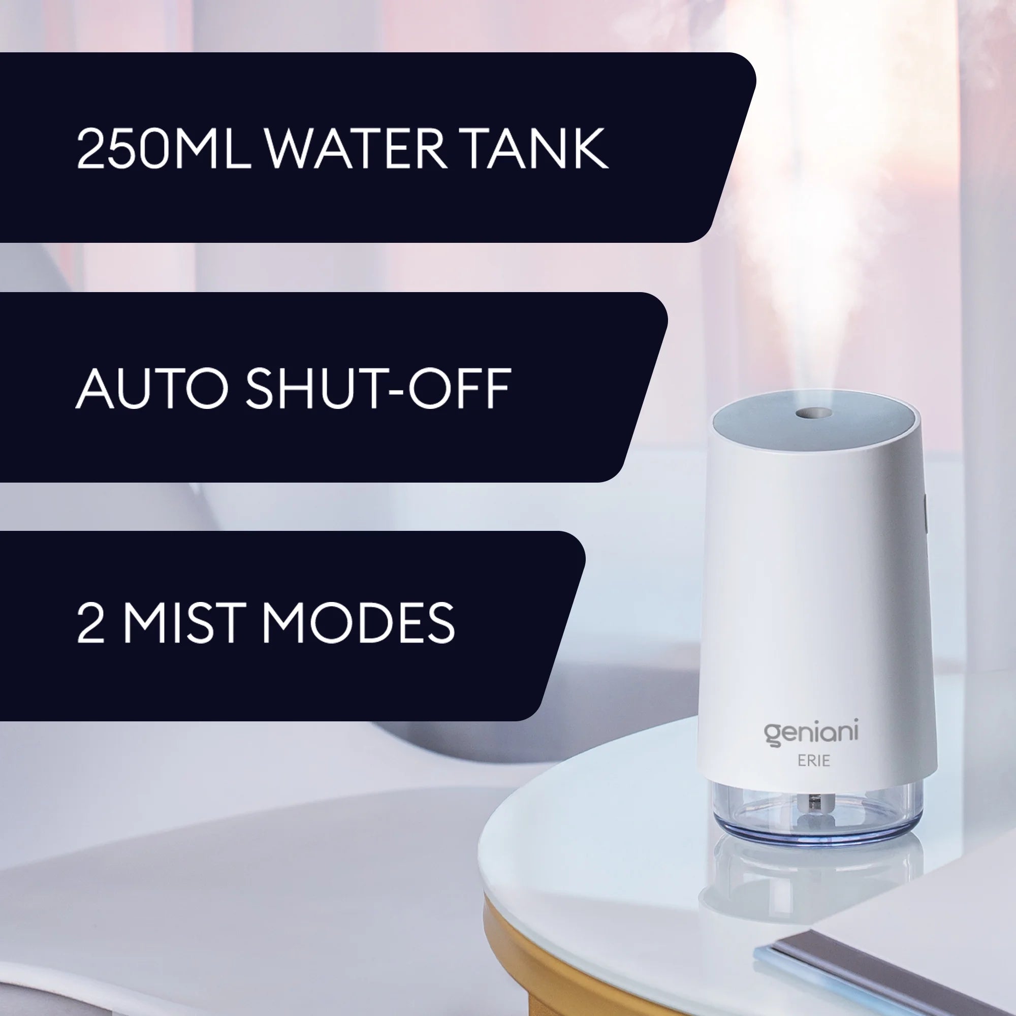 Portable Cool Mist Mini Humidifier